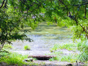 IMG_20190331_120326143-EFFECTS