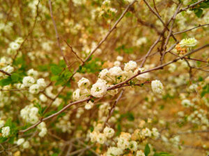 IMG_20190921_190935719-EFFECTS